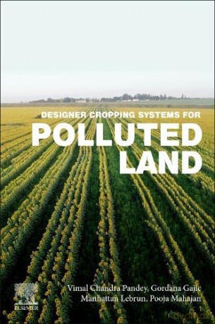 Designer Cropping Systems For Polluted L - Vimal Chandr Pandey [KSIĄŻKA]