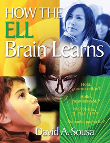 How The Ell Brains Learns [KSIĄŻKA]