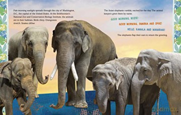 Elephants On The Move - Lela Nargi [KSIĄŻKA]