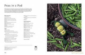 Alexandras Garden Vegetables - Kerry Lord [KSIĄŻKA]