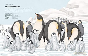 Animal A Day - Miranda Smith [KSIĄŻKA]
