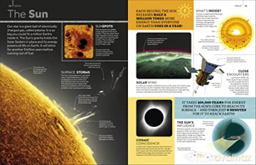 Eyewitness Encyclopedia Of Everything - Dk [KSIĄŻKA]