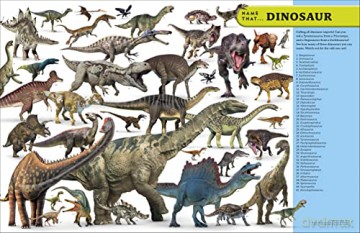 Eyewitness Encyclopedia Of Everything - Dk [KSIĄŻKA]