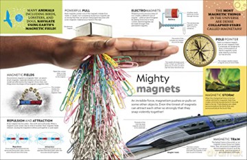 Eyewitness Encyclopedia Of Everything - Dk [KSIĄŻKA]