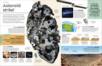 Eyewitness Encyclopedia Of Everything - Dk [KSIĄŻKA]