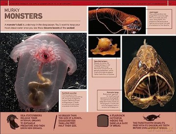 1000 Amazing Weird Facts - Dk [KSIĄŻKA]