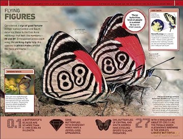 1000 Amazing Weird Facts - Dk [KSIĄŻKA]