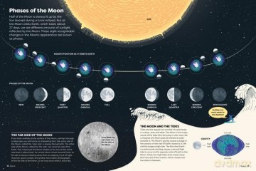 Britannicas Encyclopedia Infographica - Andrew Pettie [KSIĄŻKA]