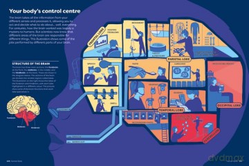 Britannicas Encyclopedia Infographica - Andrew Pettie [KSIĄŻKA]