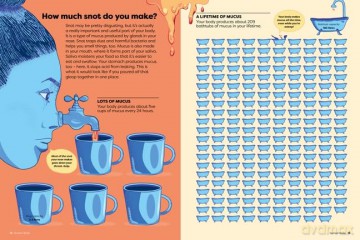 Britannicas Encyclopedia Infographica - Andrew Pettie [KSIĄŻKA]
