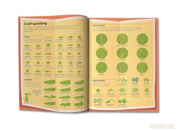 Britannicas Encyclopedia Infographica - Andrew Pettie [KSIĄŻKA]