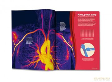 Britannicas Encyclopedia Infographica - Andrew Pettie [KSIĄŻKA]