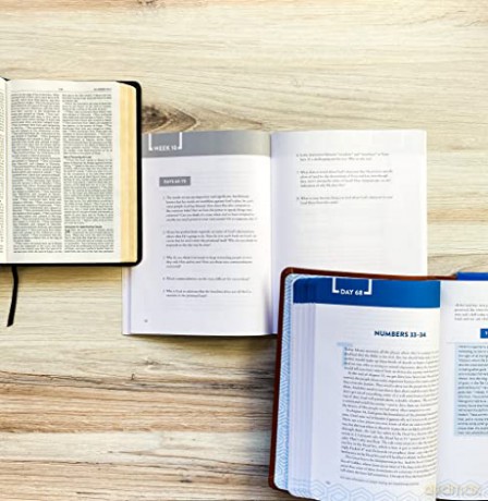 Bible Recap Discussion Guide - Tara-Leigh Cobble [KSIĄŻKA]