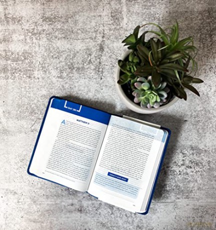 Bible Recap The Personal Size - Tara-Leigh Cobble [KSIĄŻKA]