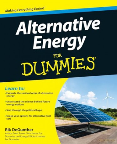 Alternative Energy For Dummies - Rik Degunther [KSIĄŻKA]