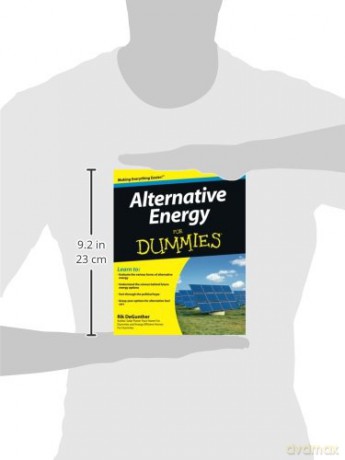 Alternative Energy For Dummies - Rik Degunther [KSIĄŻKA]