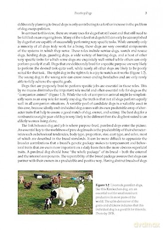 Breeding Better Dogs - Julie T Cecere [KSIĄŻKA]