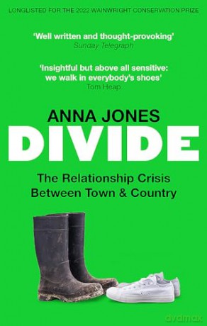 Divide - Anna Jones [KSIĄŻKA]
