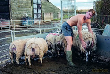 For The Love Of Farming - Will Young [KSIĄŻKA]