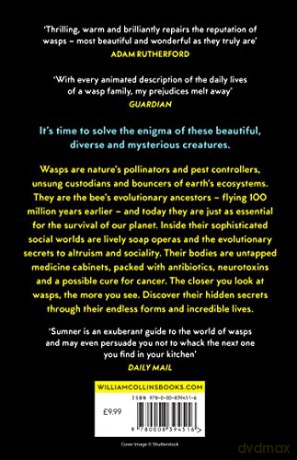 Endless Forms Secret World Of Wasps - Seirian Sumner [KSIĄŻKA]