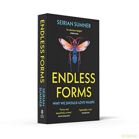 Endless Forms Secret World Of Wasps - Seirian Sumner [KSIĄŻKA]