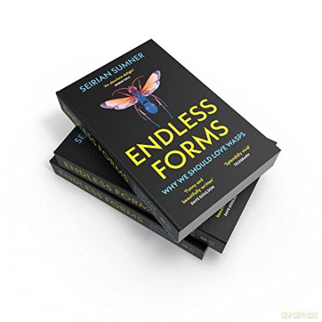 Endless Forms Secret World Of Wasps - Seirian Sumner [KSIĄŻKA]