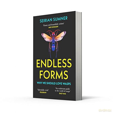 Endless Forms Secret World Of Wasps - Seirian Sumner [KSIĄŻKA]