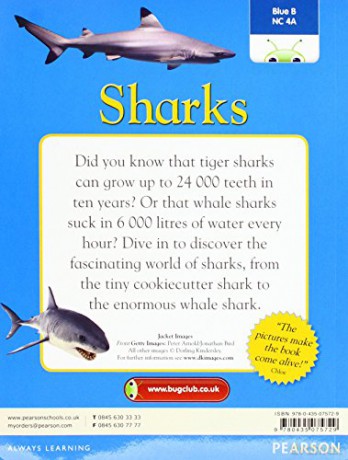 Bc Nf Blue Ks2 B4a Sharks - Fleur Star [KSIĄŻKA]