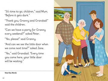 Grannys Birthday Level 8a - Ladybird [KSIĄŻKA]