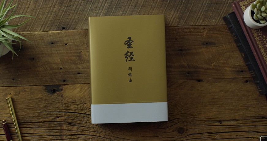 Chinese Study Bible Hardcover - Esv [KSIĄŻKA]