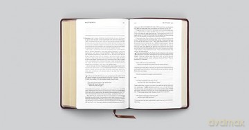 Esv Daily Reading Bible A Guided Journe [KSIĄŻKA]