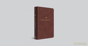 Esv Daily Reading Bible A Guided Journe [KSIĄŻKA]