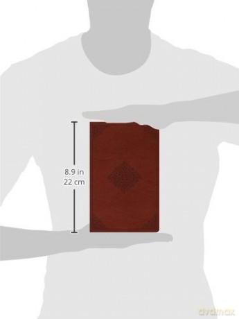 Esv Lp Value Thinline Bible Tt Tan [KSIĄŻKA]