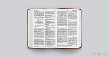 Esv Lp Value Thinline Bible Tt Tan [KSIĄŻKA]