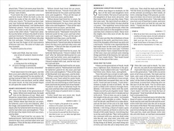 Esv Search The Scriptures Bible [KSIĄŻKA]