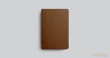 Esv Spanish English Parallel Bible - Esv [KSIĄŻKA]