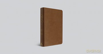 Esv Spanish English Parallel Bible - Esv [KSIĄŻKA]