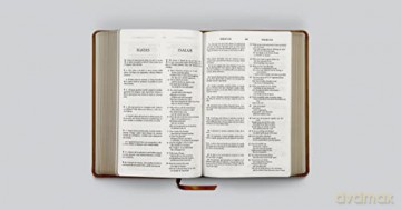 Esv Spanish English Parallel Bible - Esv [KSIĄŻKA]