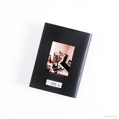 Book Of Days - Patti Smith [KSIĄŻKA]