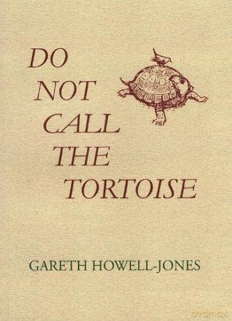 Do Not Call The Tortoise - Howell-JonesGareth [KSIĄŻKA]