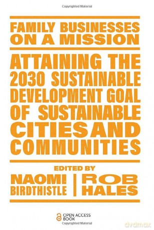 Attaining The 2030 Sustainable Developme - N (Ed) Birdthistle [KSIĄŻKA]