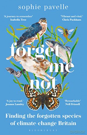 Forget Me Not - Sophie Pavelle [KSIĄŻKA]