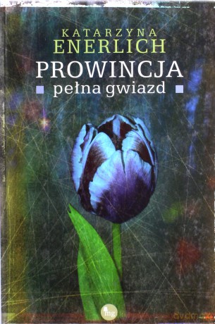Prowincja pełna gwiazd - Enerlich Katarzyna [KSIĄŻKA]