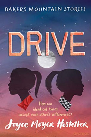 Drive - Joyce Moy Hostetter [KSIĄŻKA]