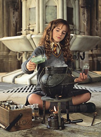 Harry Potter Chamber Secrets Enchanted - None [KSIĄŻKA]