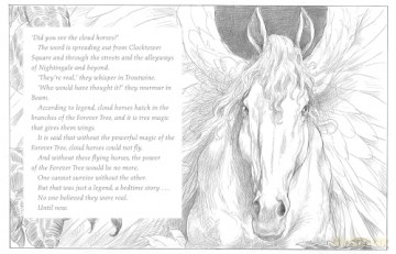 Guardians Of Magic - Chris Riddell [KSIĄŻKA]