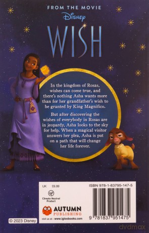 Disney Wish: The Junior Novel [KSIĄŻKA]