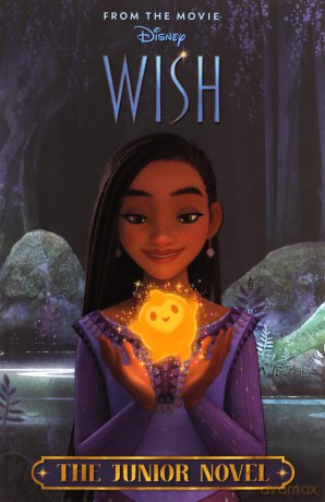 Disney Wish: The Junior Novel [KSIĄŻKA]