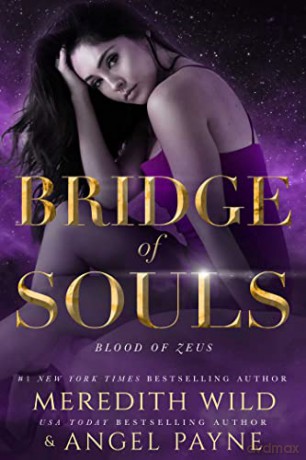 Bridge Of Souls - Meredith Wild [KSIĄŻKA]