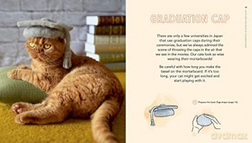 Cats In Hats - Rojiman [KSIĄŻKA]